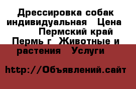 Дрессировка собак индивидуальная › Цена ­ 450 - Пермский край, Пермь г. Животные и растения » Услуги   